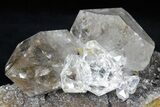 Herkimer Diamond Crystal Cluster on Druzy Quartz - New York #175392-5